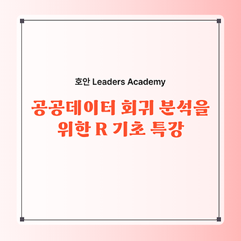 [정경대학] 호안 Leaders Academy - 공공데이터 회귀 분석을 위한 R 기초 특강 이미지